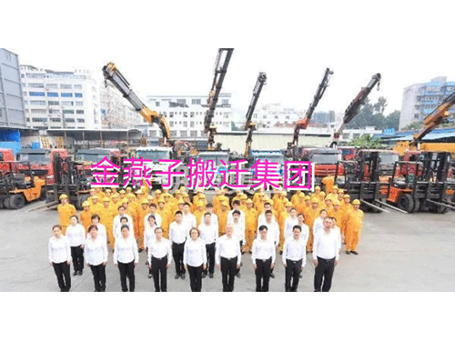 金燕子团队